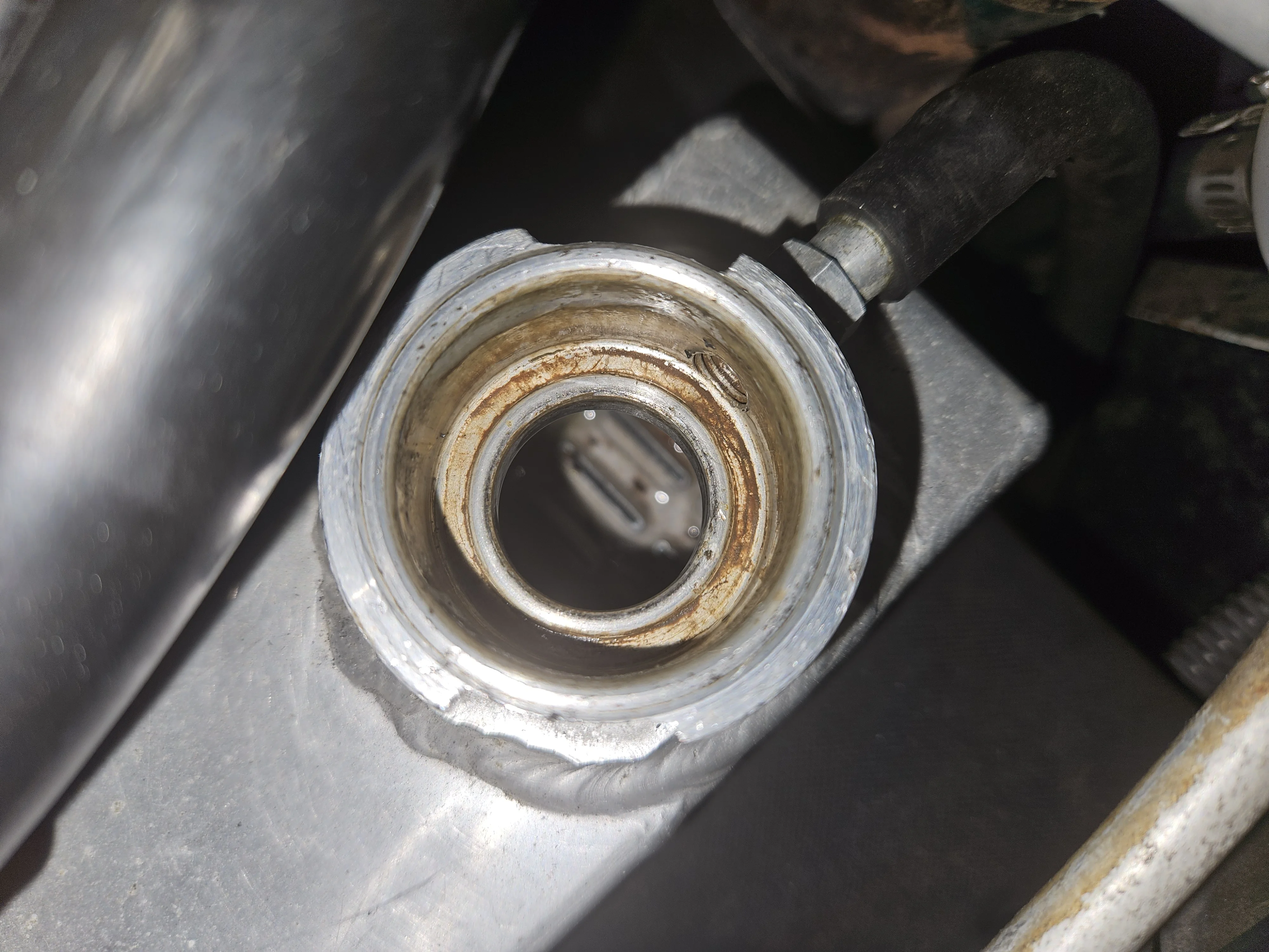 冬なのに水温が・・・